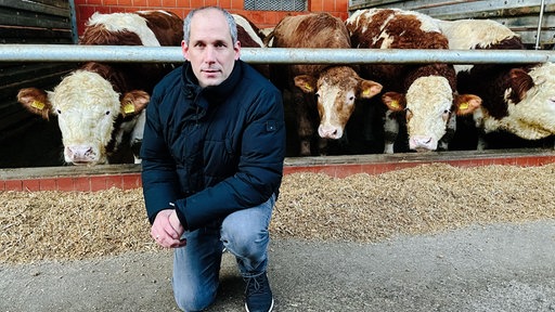 Bernd Telgmann, ein Mann mit grauen Haaren und schwarzer Winterjacke, kniet vor einer Stallbox mit vier Rindern