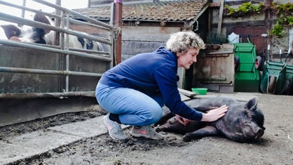 Eine Frau streichelt auf dem Lebenshof "Tierisches Glück" in Oelde ein Schwein