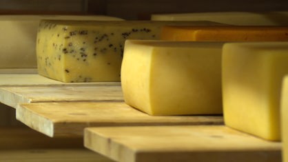 Verschiedene Käsesorten in einem Lagerraum