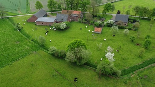 Hof der Familie Groß-Bölting in Dingden von oben