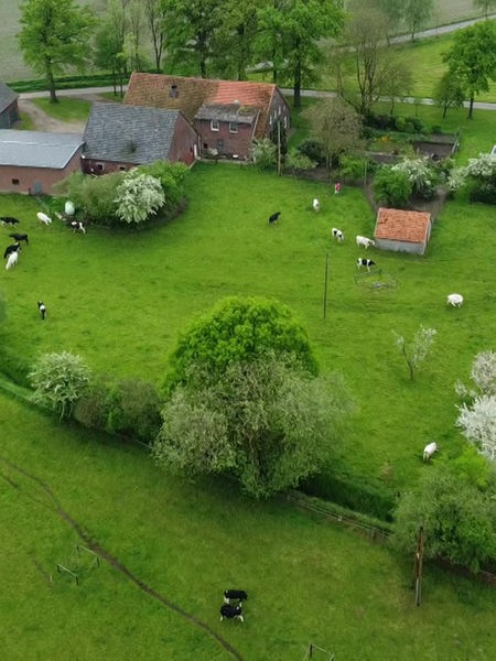 Hof der Familie Groß-Bölting in Dingden von oben