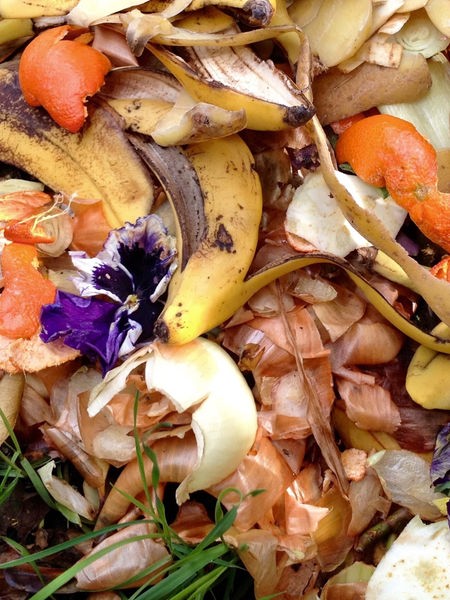 Komposthaufen mit Bio Müll im Garten