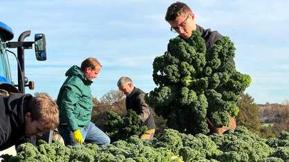 Der Landwirt und seine Helfer bei der Ernte