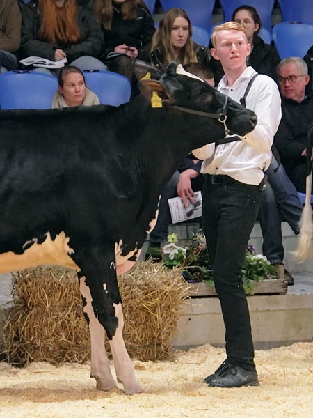 Jonas Neuber steht mit Rind Elsa in einer Halle und präsentiert das Rind