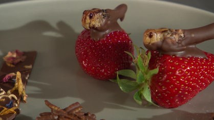 Heuschrecken mit Erdbeeren in Schokolade