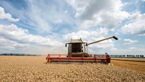 Traktor fährt über ein Weizenfeld