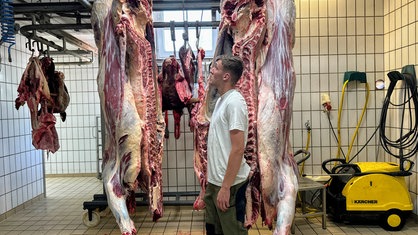 Ein junger Mann steht in einem gekachelten Raum zwischen zwei von der Decke hängenden Rinderhälften