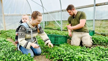 Die Landwirte Marie Woeste und Luis Zierke pflanzen auf ihrem Hof Jungpfanzen ein