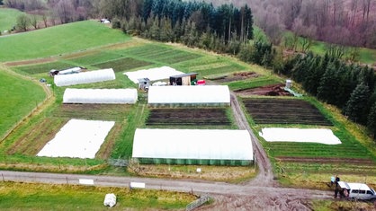 Blick über die Foolientunnel, in denen Familie Woeste Gemüse anbaut