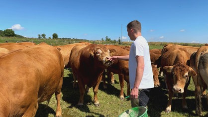 Moritz Lüke und seine Rinder auf der Weide 