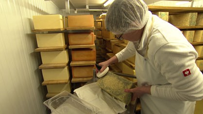 Käsepflegerin Jessica Zacharias bürstet einen Käseblock