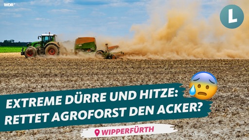 Ein Traktor fährt über ein trockenes Feld und wirbelt Staub auf