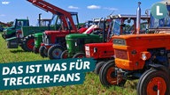 Oldtimer-Traktoren stehen aufgereiht nebeneinander. Darauf der Schriftzug "Das ist was für Trecker-Fans".