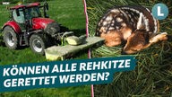 Eine Fotomontage mit einem Trecker samt Mähaufsatz auf der linken Seite und rechts ein schlafendes Rehkitz im Gras. Darüber der Schriftzug "Können alle Rehkitze gerettet werden".