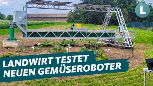 Ein Roboter-Arm auf einem kleinen Gemüseacker. Darüber der Schriftzug: Landwirt testet neuen Gemüseroboter.