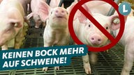 Radikale Hofübernahme: Tschüss Schweine 