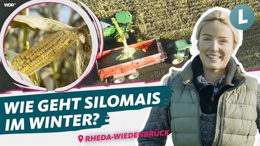 Schriftzug: Wie geht Silomais im Winter. Im Hintergrund fährt ein Trecker über ein Feld.