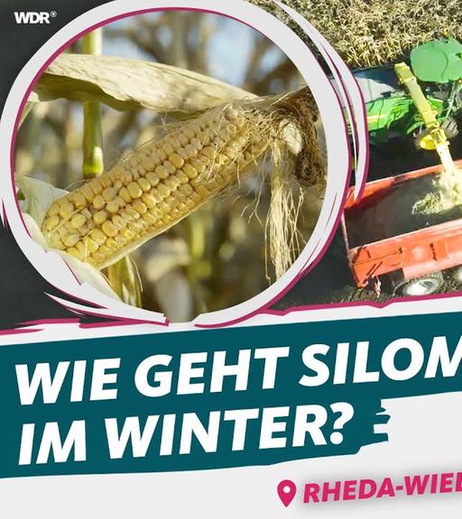 Schriftzug: Wie geht Silomais im Winter. Im Hintergrund fährt ein Trecker über ein Feld.