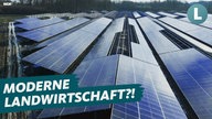 Ein unfertiger Solarpark darauf der Schriftzug "Moderne Landwirtschaft?!"