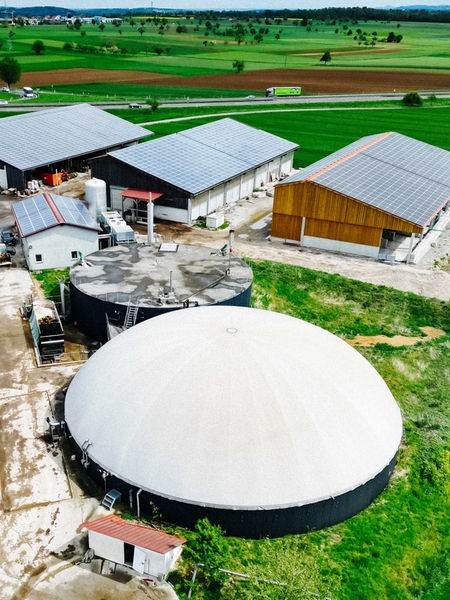 Collage aus drei Bildern: Ein Stapel Baumstämme, eine Biogasanlage von oben und eine Biene an einer Blüte