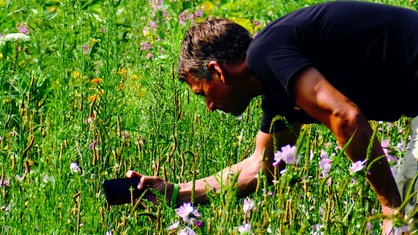 Landwirt Jochen Kanders fotografiert mit seinem Handy ein Insekt auf einer Blumenwiese auf seinem Hof in Uedem