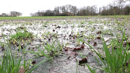 Ein Feld in Ochtrup steht nach wochenlangem Dauerregen unter Wasser