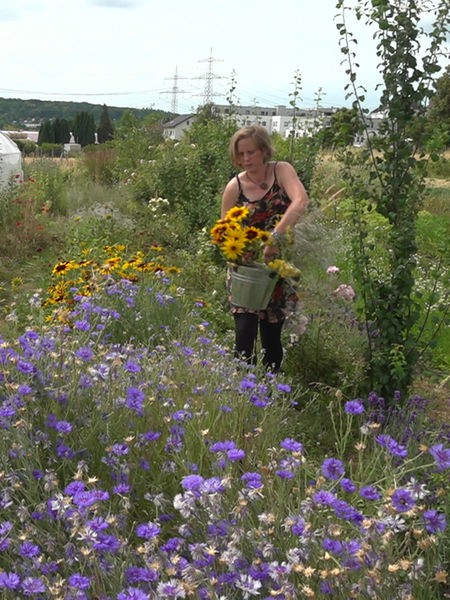 Eine Frau steht auf einem Blumenfeld und hält einen silbernen Eimer mit Blumen in der Hand