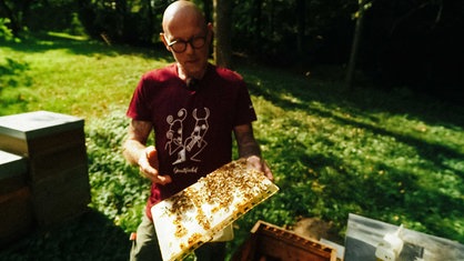 Ein Mann hält einen Teil des Bienenstocks in seiner Hand.