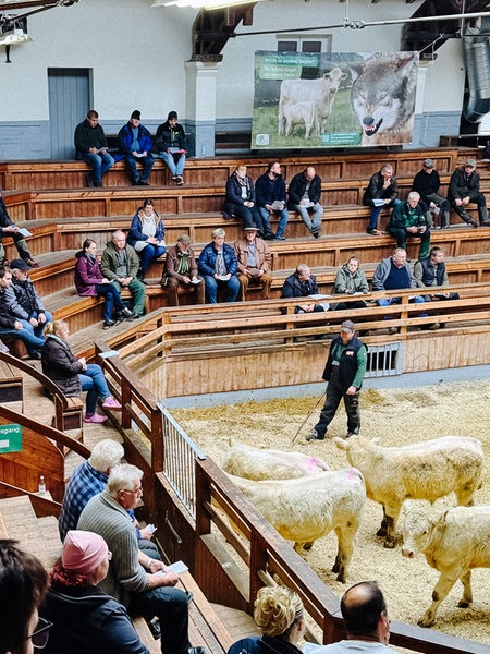 Eine Tribüne aus Holz, auf der einige Menschen sitzen. Am linken Rand ein Mann, der einen Hammer auf ein Pult schlägt