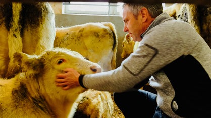 Ein Mann mittleren Alters mit grauer Jacke. Er beugt sich zu einem weiß-braunen Rind und streichelt es 