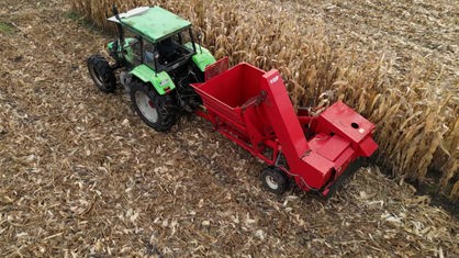 Ein Traktor zieht eine Erntemaschine für Popcorn-Mais über ein Maisfeld.