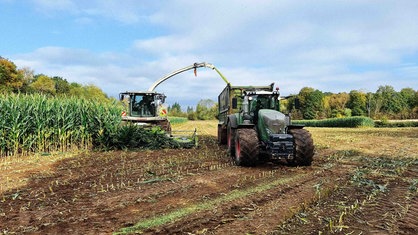 Ein Häcksler und ein Traktor mit Hänger auf dem Feld. Mais wird gehäckselt.