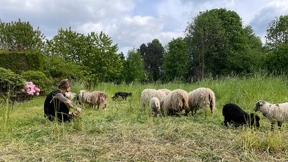 Claudia Lausberg sitzt im hohen Gras einer Wiese, um sie herum grasen ihre Schafe