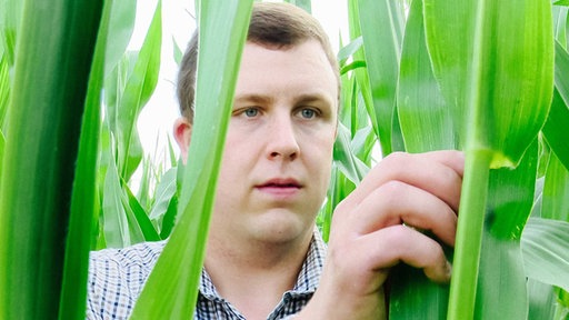 Landwirt Stefan Schmidt steht im Maisfeld und betrachtet die Blätter.