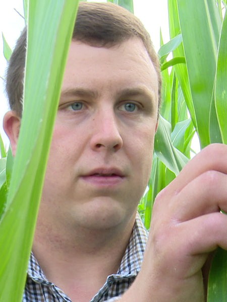 Landwirt Stefan Schmidt steht im Maisfeld und betrachtet die Blätter.