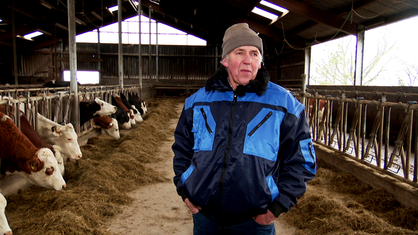 Landwirt Hans Hubert Müllejans steht in seinem Kuhstall in Aachen