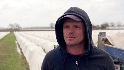 Der rumänische Arbeiter Radu Muresan bei der Spargelernte im Selfkant