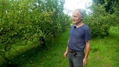 Mann steht inmitten von Apfelbäumen
