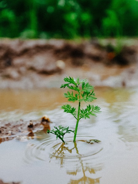 Auf einem Acker steht Wasser