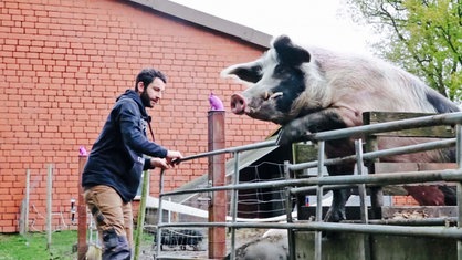 Ein Mann auf einem Bauernhof. An einem Zaun steht ein Schwein.