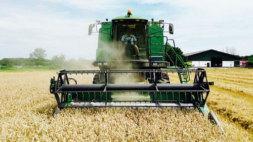 Ein Landwirt sitzt auf einem Mähdrescher und erntet den Weizen auf einem Feld.