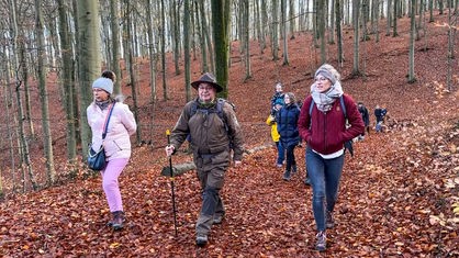 Andreas Engelke wandert mit Teilnehmern durch den Wald