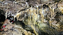 Ein Mann mit Helm und Stirnlampe in einem Durchgang in einer Höhle, von oben ragen viele Tropfsteine ins Bild