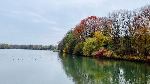 Der Blick auf das grünlich blaue Wasser und Bäume mit bunten Blättern am Berger See.