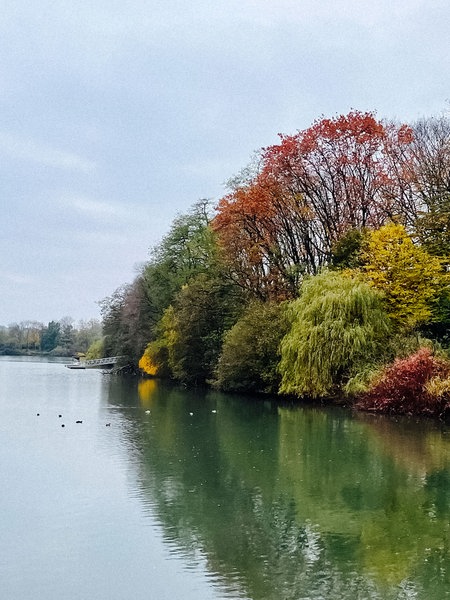 Der Blick auf das grünlich blaue Wasser und Bäume mit bunten Blättern am Berger See.