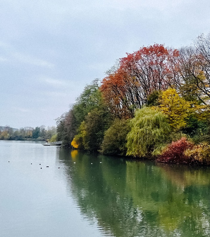 Der Blick auf das grünlich blaue Wasser und Bäume mit bunten Blättern am Berger See.