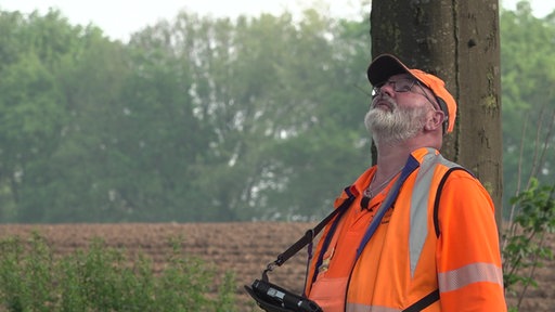 Ein Mann in orangefarbener Arbeitskleidung schaut in die Krone eines Baumes