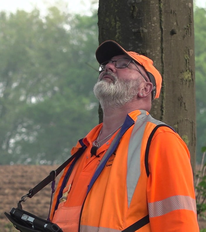 Ein Mann in orangefarbener Arbeitskleidung schaut in die Krone eines Baumes