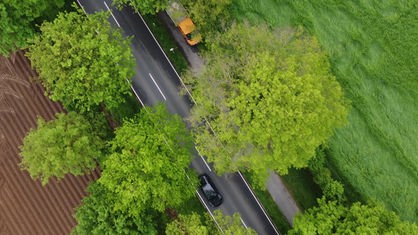 Eine Landstraße mit Bäumen daneben aus der Vogelperspektive
