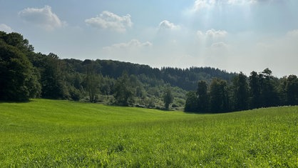 Ausblick über eine grüne Wiese und Wälder des Bergischen Landes